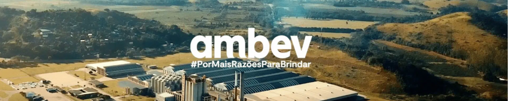 Empresas na Bolsa de Valores: Número 4: Ambev (ABEV3)