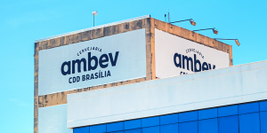 Capa de Artigo: AMBEV